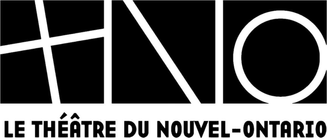 TNO Logo Noir